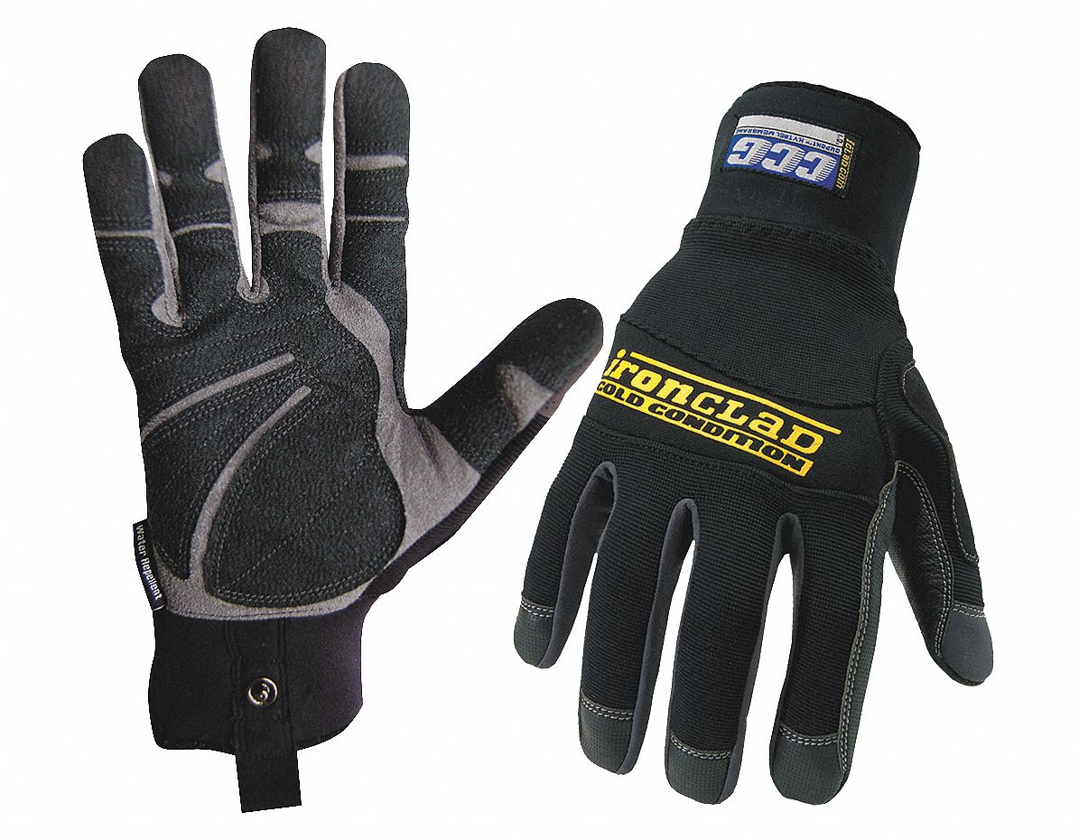 Cold Protection Gloves,L,Black,PR