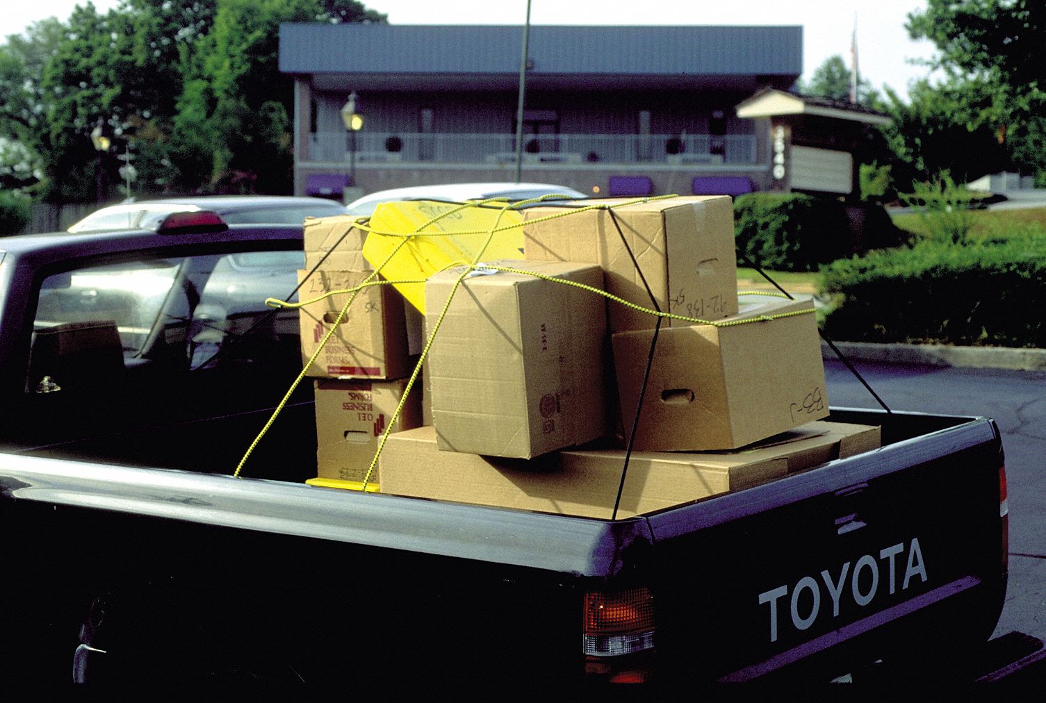 Cargo Net, L86In, W74In, ZipHooks
