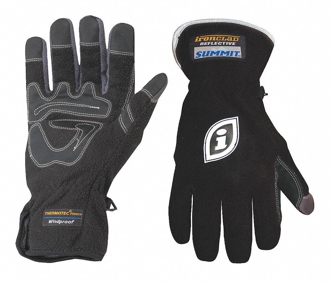 Cold Protection Gloves,L,Black,PR